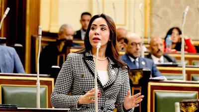 نائبة التنسيقية غادة على: قانون إنهاء المنازعات الضريبية يبث رسائل طمأنة للقطاع الخاص