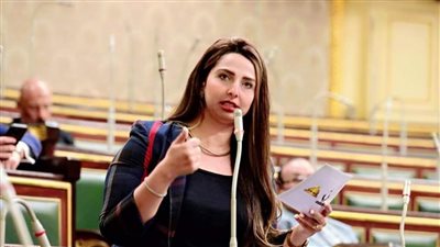 الجبالي يحيل تعديلات 