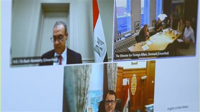 وزير الخارجية يعقد اجتماعاً افتراضياً مع نظيره الدنماركي