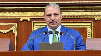 دفاع النواب: جهود الشرطة حققت نتائج إيجابية عنوانها الأمان والاستقرار 