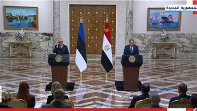 الرئيس السيسي: مصر تعتبر القضية الفلسطينية صلب قضايا المنطقة