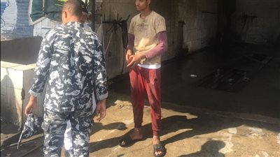 15 محضر بيئي لمحال غسيل السيارات بالإسماعيلية