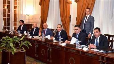انعقاد اللجنة المصرية الكاميرونية المشتركة برئاسة وزيري خارجية البلدين في القاهرة