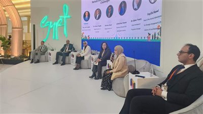 نائب محافظ الوادي الجديد تُشارك بجلسة 