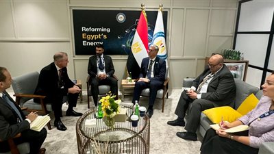 وزير البترول يبحث مع مسؤولي هني ويل التعاون في مجالات الوقود الأخضر