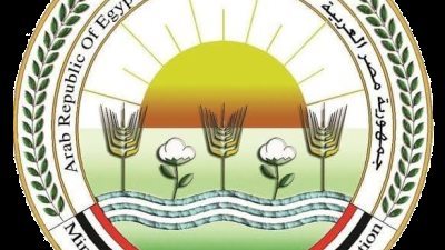 أهمية إطلاق مشروع 