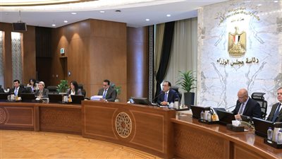 13 قرارًا للحكومة اليوم.. تعرف عليها