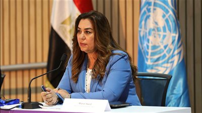 منال عوض: مبادرة 