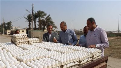 سكرتير بني سويف يتفقد سير العمل بمحطة السادات لإنتاج بيض المائدة