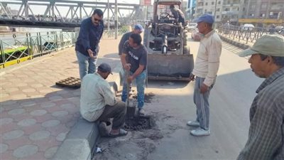  رفع 680 طن مخلفات بلدية وأتربة بالمنطقة المركزية بالدقهلية