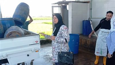 حملة مكبرة على مراكز تجميع الألبان بالبحيرة 