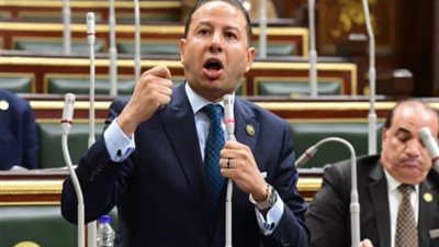 النائب حسن عمار: الاقتصاد الوطني صمد أمام تحديات عالمية وصراعات جيوسياسية