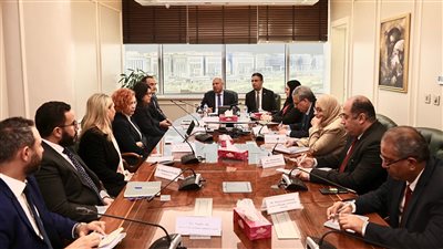 الوزير يبحث مع شركة كرونوسبان النمساوية المتخصصة في الصناعات الخشبية خطط الشركة في مصر