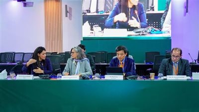 وزيرة التخطيط : التكامل بين الاستثمارات العامة والتمويل الدولي لتعظيم الأثر التنموي