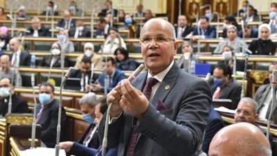 طلب احاطة في النواب لمواجهة رفع أسعار اللحوم البيضاء