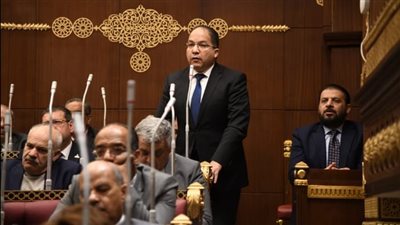 النائب عادل اللمعي: البطالة قضية قومية وهناك ضرورة ملحة لإصدار قانون العمل