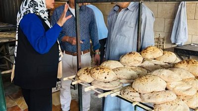  الإسماعيلية تتابع الحملات التموينية لتوعية أصحاب المخابز بأحكام القرار 175 لسنة 2024
