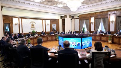 مدبولي: أحد أهداف قانون التصالح غلق ملف التعديات على الأراضي الزراعية بلا رجعة