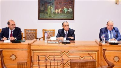 وزير الخارجية يؤكد على أهمية تشجيع الشركاء الأوروبيين لدعم الاقتصاد المصري