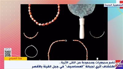 خبير أثري: اكتشاف مقبرة بجبانة العساسيف تضم 11 دفنة