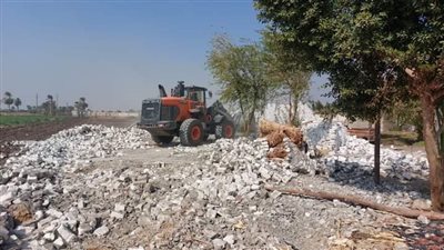 إزالة 13 حالة تعد على الأراضي في بني سويف