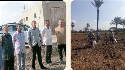 زراعة الشرقية تُنفذ يوم حقلي للنهوض بمحصول الكتان 