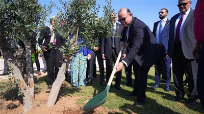 رئيس الرقابة المالية وقيادات التأمين يزرعون أشجار بشرم الشيخ لخفض الانبعاثات الكربونية