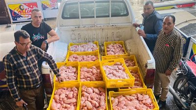 ضبط 219 كيلو لحوم ودواجن غير صالحة للاستهلاك بالفيوم 