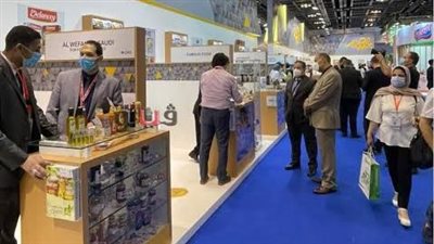 تخفيض الدعم الموجه للمعارض الخارجية إلى 250 مليون جنيه