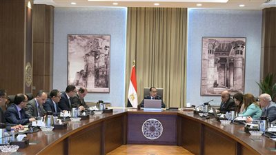 مدبولي يتابع موقف مشروعات مبادرة 