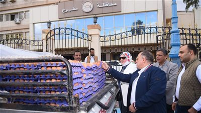 مطروح تستقبل أولى دفعات بيض المائدة بسعر 150 جنيها للكرتونة 