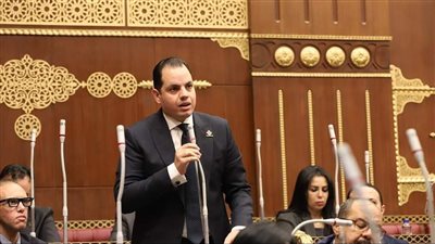 أحمد فوزي نائب التنسيقية: يجب تصحيح مفاهيم إصرار الشباب على الوظيفة الحكومية