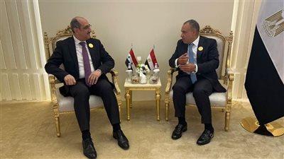 وزير الخارجية يؤكد موقف مصر الداعم للدولة السورية ورفض التدخلات الخارجية 