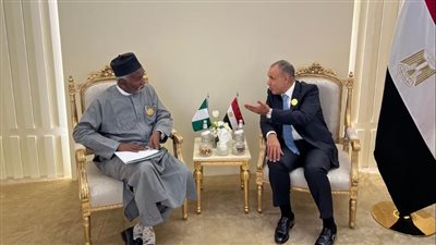 وزير الخارجية يلتقي بنظيره النيجيري.. ويؤكد على استكشاف الفرص الاستثمارية في إفريقيا