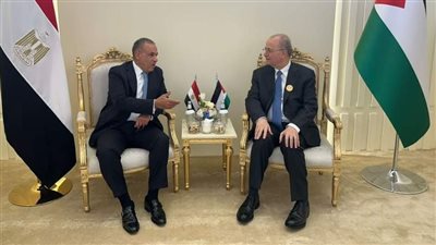 وزير الخارجية لنظيره الفلسطيني: نرفض أي محاولات إسرائيلية لتهجير الفلسطينيين لتصفية القضية