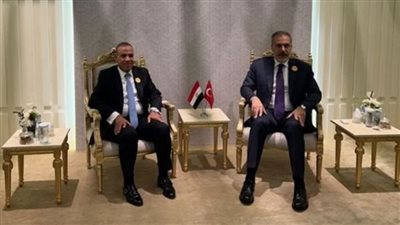 وزير الخارجية يبحث مع نظيره التركي الأزمة الفلسطينية والسودانية والسورية والليبية واللبنانية