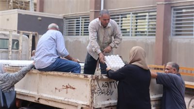 محافظ القليوبية يتابع توفير سيارات بيع بيض المائدة لبيع بيض المائدة بأسعار مخفضة 