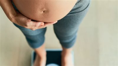 كل ماتريدين معرفته عن وزن الحمل والحد المسموح به 