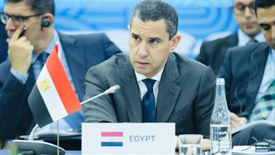 الممثل الشخصي للرئيس السيسي يرأس وفد مصر للإعداد لقمة العشرين في البرازيل