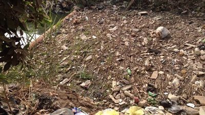 نقص مياه الرى بالدقهلية يهدد إنتاجية المحاصيل