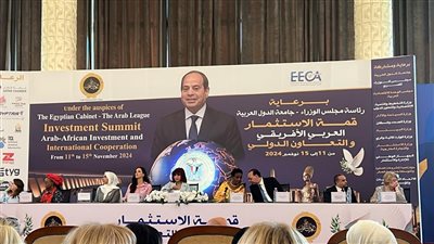 رئيس اتحاد المستثمرات العرب: السلام يحقق التنمية الشاملة المستدامة