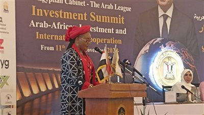 حرم الرئيس السابق لولاية بينو النيجيرية تشيد باتحاد المستثمرات العرب