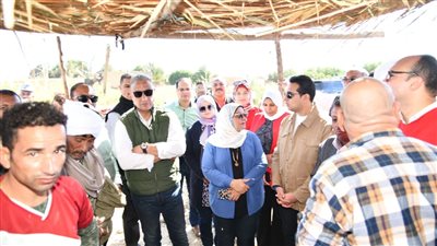 محافظ الفيوم يشهد مزاداً لبيع السمك والجمبري على ساحل بحيرة قارون