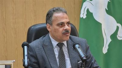 وحدة التدخل السريع: رفع 11200 طن قمامة ومخلفات مباني بمراكز ومدن الشرقية