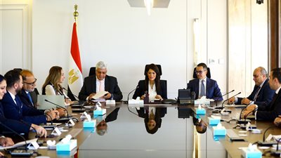 ترحيب واسع من مجتمع الشركات الناشئة والمؤسسات الدولية بتشكيل المجموعة الوزارية لريادة الأعمال (فيديو)