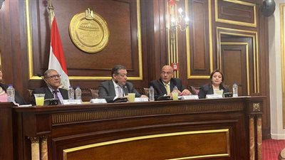 السفير سامح أبو العينين يشارك باجتماع لجنة العلاقات الخارجية والعربية والافريقية بالشيوخ 