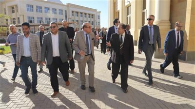 وفد مجلس الجامعات الأهلية يزور جنوب الوادي 