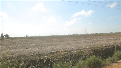 محافظ كفرالشيخ يتفقد موقع السوق الأسبوعي الجديد 