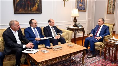 وزير الخارجية: سد جوليوس نيريري يعكس دور مصر في تطوير البنية التحتية لإفريقيا