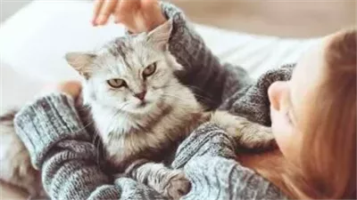 علماء يكشفون خطورة تربية الحيوانات الأليفة.. تنقل أمراض عديدة